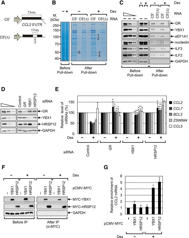 https://cdn.ncbi.nlm.nih.gov/pmc/blobs/6635/5066615/0dbda2dad77f/2093f03.jpg