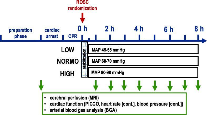 https://cdn.ncbi.nlm.nih.gov/pmc/blobs/6637/11985060/347cc82cfb4c/gr1.jpg