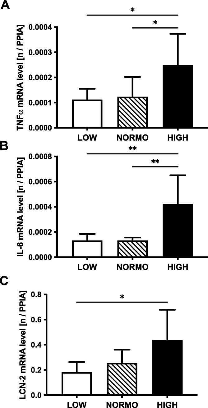 https://cdn.ncbi.nlm.nih.gov/pmc/blobs/6637/11985060/f0f0e7778b67/gr5.jpg