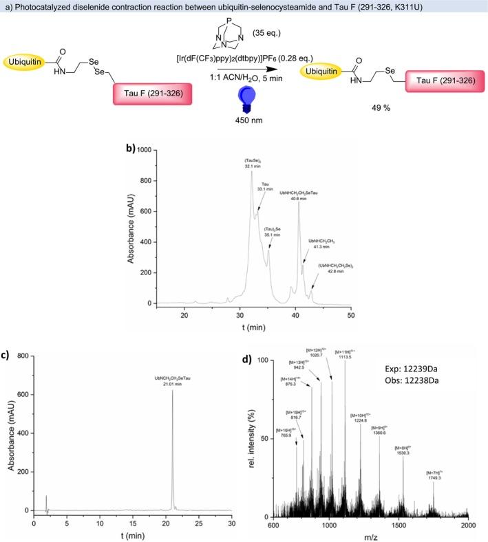 https://cdn.ncbi.nlm.nih.gov/pmc/blobs/6637/12226148/260586dd31ee/PSC-31-e70037-g005.jpg