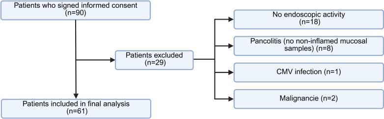 https://cdn.ncbi.nlm.nih.gov/pmc/blobs/6639/12318950/d50e681db7c4/fimmu-16-1609740-g001.jpg