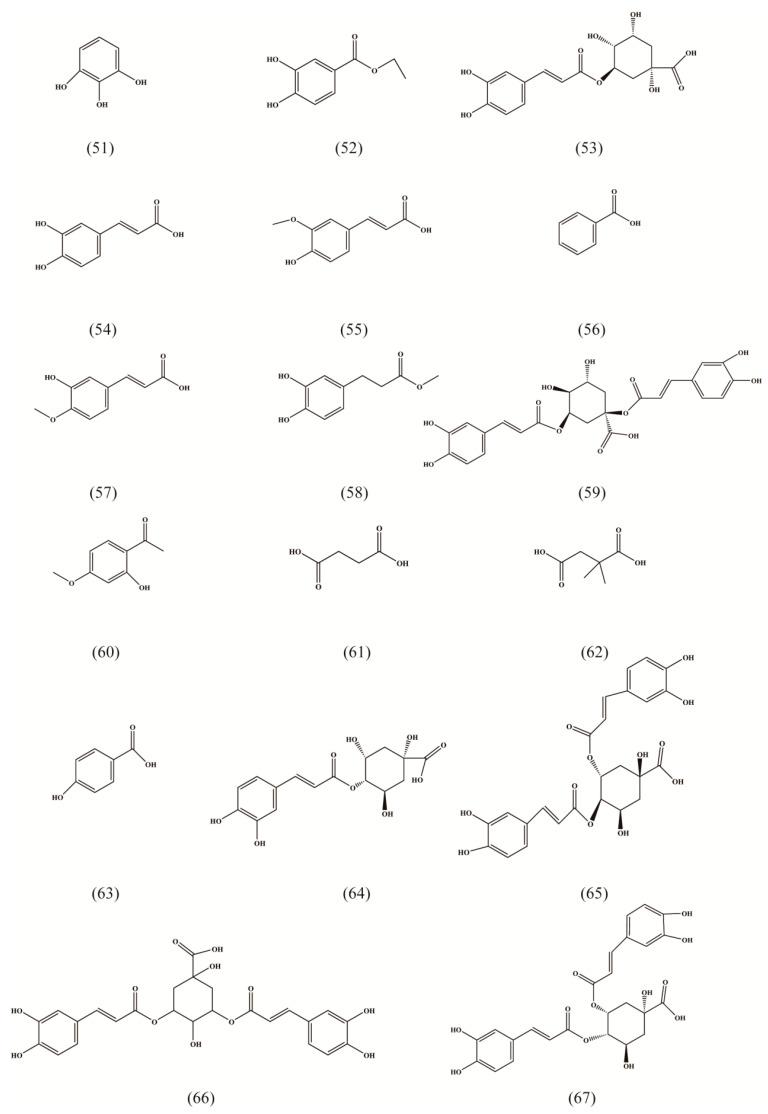 https://cdn.ncbi.nlm.nih.gov/pmc/blobs/6639/9458035/4f81bba06d3a/molecules-27-05388-g003.jpg