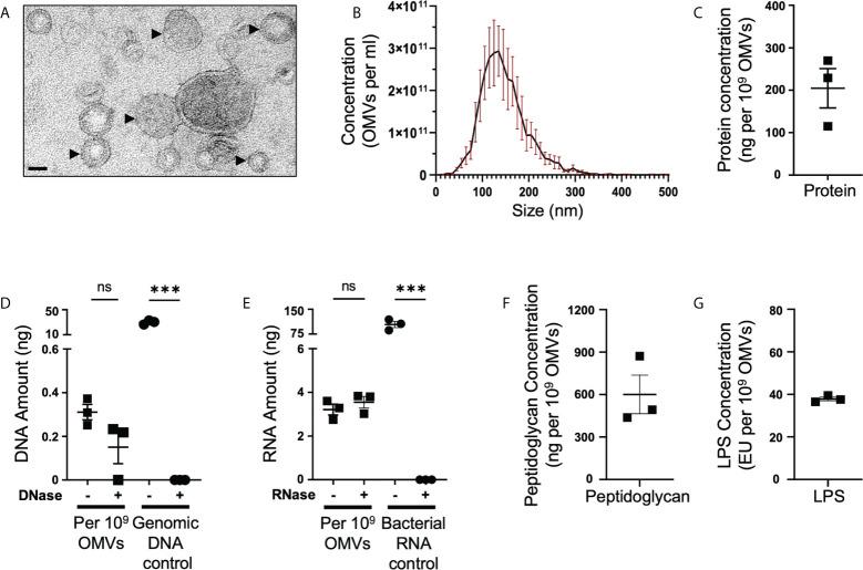 https://cdn.ncbi.nlm.nih.gov/pmc/blobs/6639/9592552/7ef468391e70/fimmu-13-970725-g001.jpg