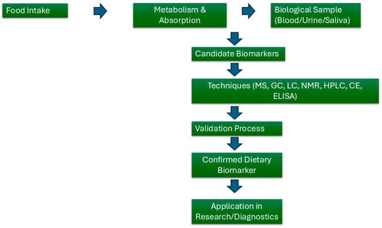 https://cdn.ncbi.nlm.nih.gov/pmc/blobs/663b/11988514/c38f95a2a89f/ijms-26-03015-g001.jpg