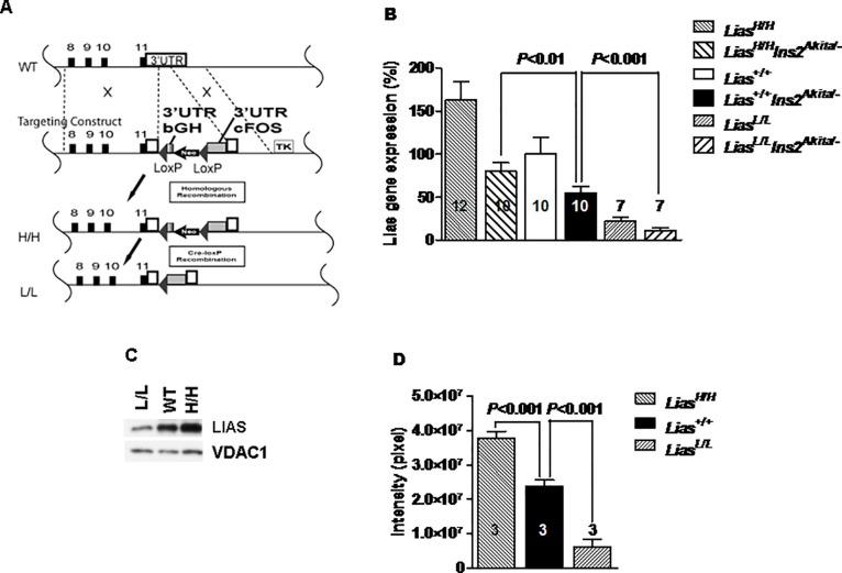 https://cdn.ncbi.nlm.nih.gov/pmc/blobs/663c/5051822/f73a770f84b3/pone.0163208.g001.jpg