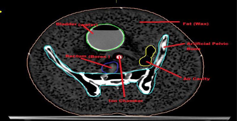 https://cdn.ncbi.nlm.nih.gov/pmc/blobs/663c/9589078/257c47f2dc0d/JBPE-12-465-g001.jpg