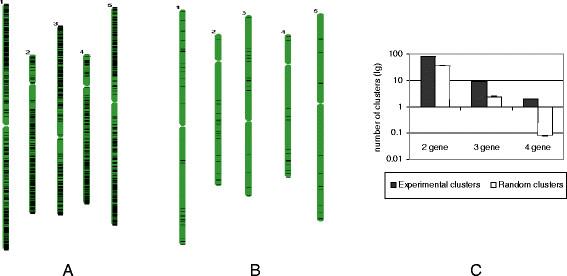 https://cdn.ncbi.nlm.nih.gov/pmc/blobs/6642/3430556/1b439257d939/1743-422X-9-101-4.jpg