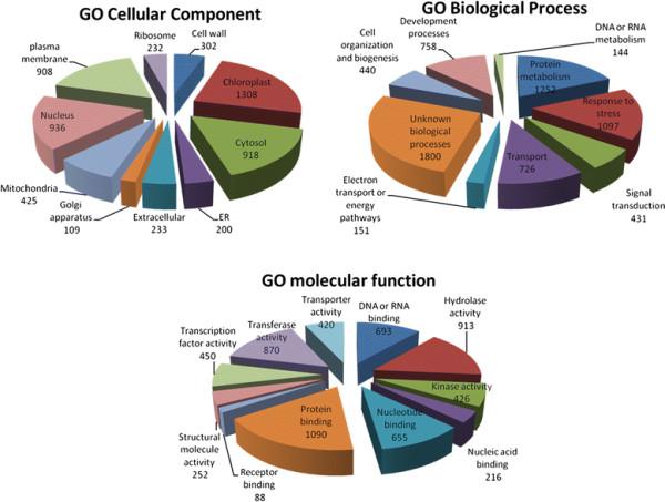 https://cdn.ncbi.nlm.nih.gov/pmc/blobs/6642/3430556/4cb862768257/1743-422X-9-101-2.jpg
