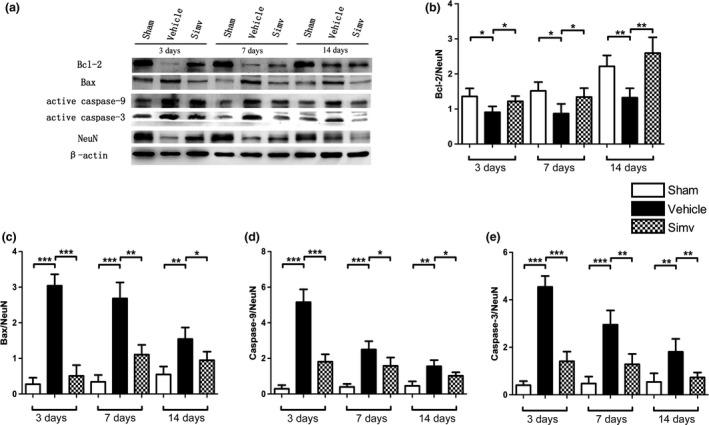 https://cdn.ncbi.nlm.nih.gov/pmc/blobs/6642/5089634/6279ab1ebe95/JNC-138-139-g005.jpg