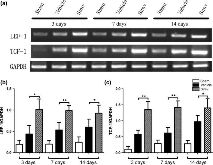 https://cdn.ncbi.nlm.nih.gov/pmc/blobs/6642/5089634/8f4b4d6855ab/JNC-138-139-g004.jpg