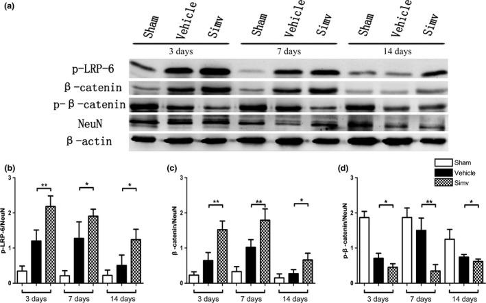 https://cdn.ncbi.nlm.nih.gov/pmc/blobs/6642/5089634/9da62c9dee4e/JNC-138-139-g003.jpg