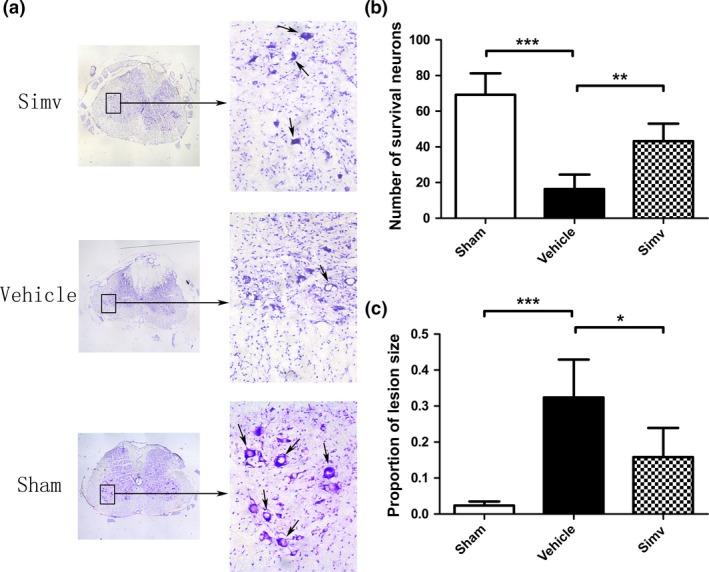 https://cdn.ncbi.nlm.nih.gov/pmc/blobs/6642/5089634/fa287251157b/JNC-138-139-g002.jpg