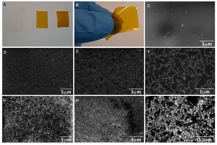 https://cdn.ncbi.nlm.nih.gov/pmc/blobs/6644/10934637/3abce78db95e/nanomaterials-14-00462-g004.jpg