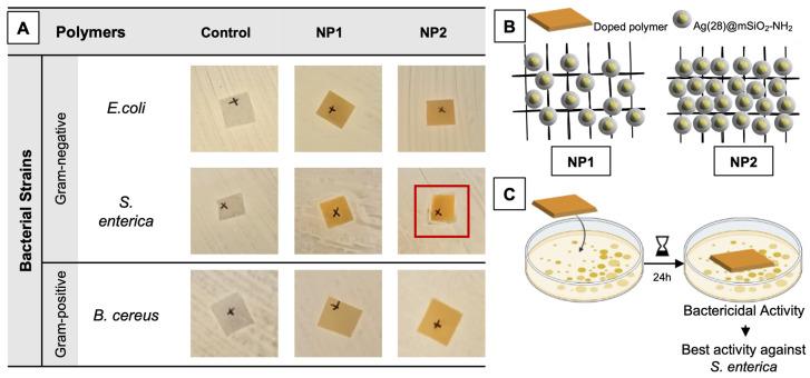 https://cdn.ncbi.nlm.nih.gov/pmc/blobs/6644/10934637/48990358365f/nanomaterials-14-00462-g007.jpg