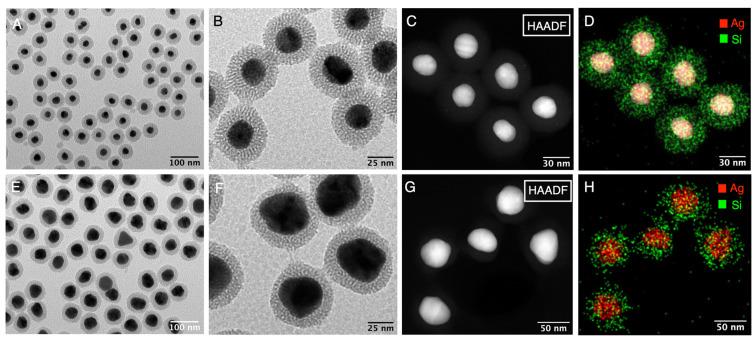 https://cdn.ncbi.nlm.nih.gov/pmc/blobs/6644/10934637/7567387c0714/nanomaterials-14-00462-g001.jpg