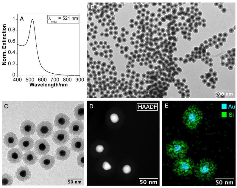 https://cdn.ncbi.nlm.nih.gov/pmc/blobs/6644/10934637/cd9cb1c546de/nanomaterials-14-00462-g002.jpg