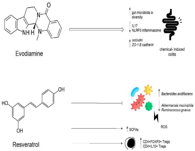 https://cdn.ncbi.nlm.nih.gov/pmc/blobs/6645/10215521/347557940f43/antibiotics-12-00868-g004.jpg