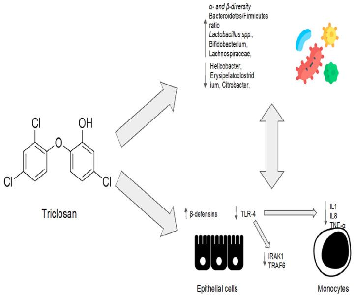 https://cdn.ncbi.nlm.nih.gov/pmc/blobs/6645/10215521/4977ce47f231/antibiotics-12-00868-g003.jpg