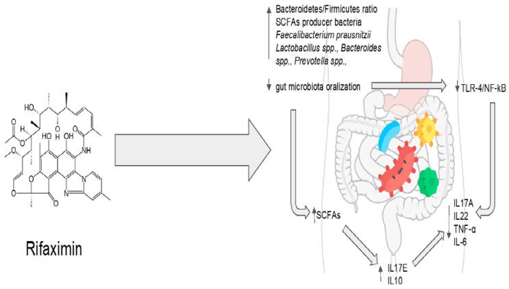 https://cdn.ncbi.nlm.nih.gov/pmc/blobs/6645/10215521/785b2156fee0/antibiotics-12-00868-g002.jpg