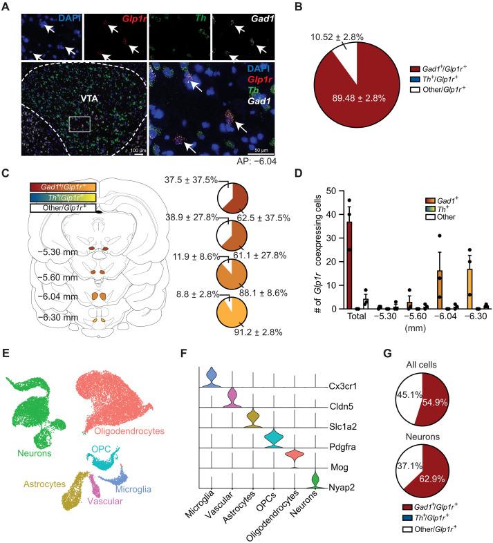 https://cdn.ncbi.nlm.nih.gov/pmc/blobs/6646/11864183/8a0ec7d034f2/sciadv.adr5051-f4.jpg