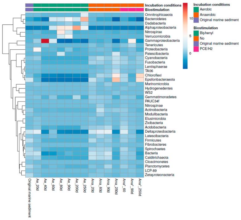 https://cdn.ncbi.nlm.nih.gov/pmc/blobs/6647/10673493/867ce5191fd0/microorganisms-11-02782-g004.jpg