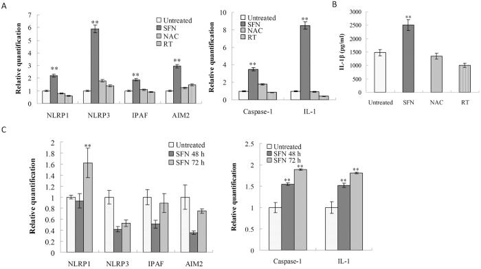 https://cdn.ncbi.nlm.nih.gov/pmc/blobs/6648/5155226/7412b4dda9fe/srep39303-f7.jpg
