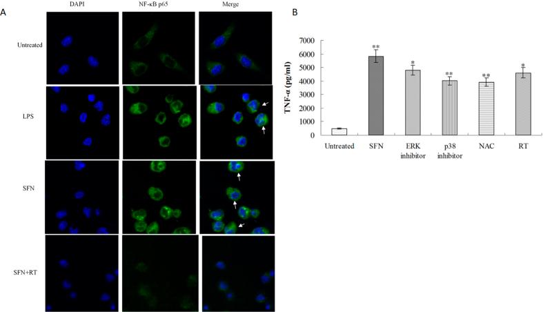 https://cdn.ncbi.nlm.nih.gov/pmc/blobs/6648/5155226/90ff1b442a4e/srep39303-f5.jpg