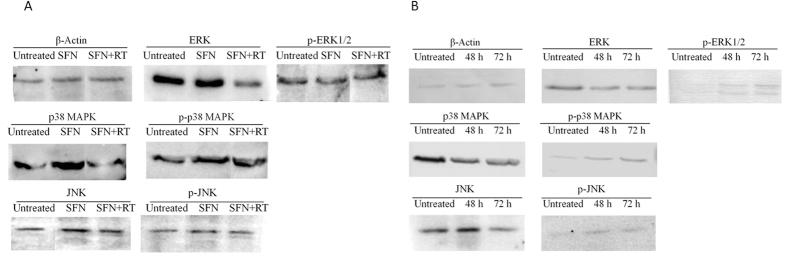 https://cdn.ncbi.nlm.nih.gov/pmc/blobs/6648/5155226/d7a0bc760456/srep39303-f4.jpg