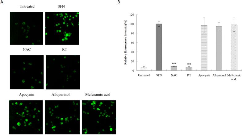 https://cdn.ncbi.nlm.nih.gov/pmc/blobs/6648/5155226/e7cd709af7d2/srep39303-f2.jpg