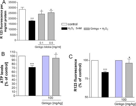 https://cdn.ncbi.nlm.nih.gov/pmc/blobs/664a/3283204/8d5e2da4c59b/mv-v18-390-f1.jpg
