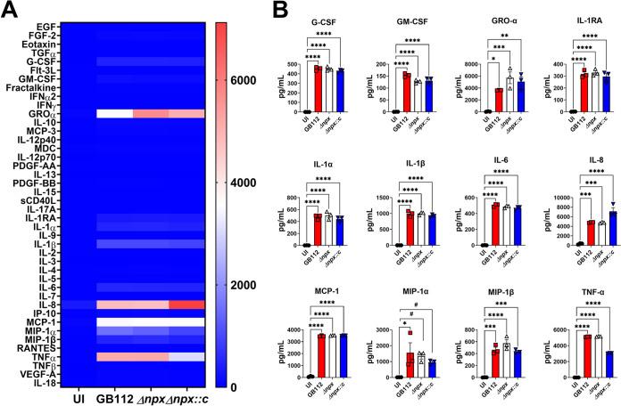 https://cdn.ncbi.nlm.nih.gov/pmc/blobs/664a/9765263/66d731fdf966/mbio.02870-22-f002.jpg