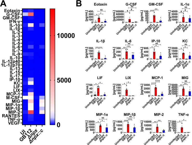https://cdn.ncbi.nlm.nih.gov/pmc/blobs/664a/9765263/f021dfedf33e/mbio.02870-22-f005.jpg
