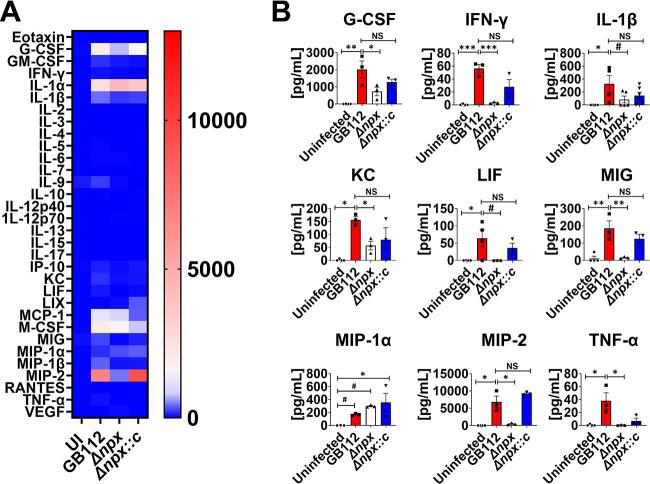 https://cdn.ncbi.nlm.nih.gov/pmc/blobs/664a/9765263/fc1ee9445e54/mbio.02870-22-f008.jpg
