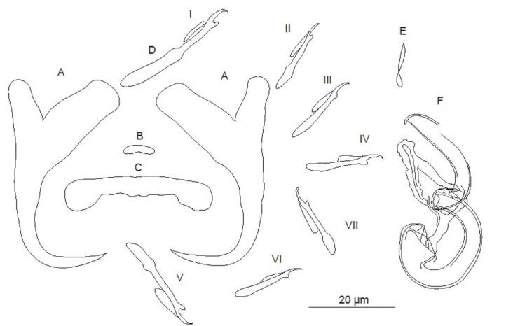 https://cdn.ncbi.nlm.nih.gov/pmc/blobs/664d/6662008/c94f20f9061e/helm-55-306-g005.jpg
