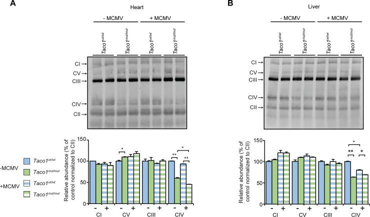 https://cdn.ncbi.nlm.nih.gov/pmc/blobs/6651/7055822/bd02f877b306/pgen.1008604.g003.jpg
