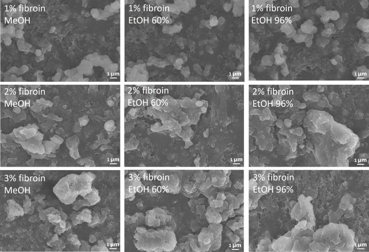 https://cdn.ncbi.nlm.nih.gov/pmc/blobs/6652/10149084/bf67a6f8a7ae/CCID-16-1109-g0002.jpg