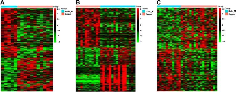 https://cdn.ncbi.nlm.nih.gov/pmc/blobs/6653/6968804/6f9fa6a74086/OTT-13-323-g0002.jpg