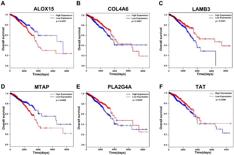 https://cdn.ncbi.nlm.nih.gov/pmc/blobs/6653/6968804/c04efd0964c1/OTT-13-323-g0005.jpg