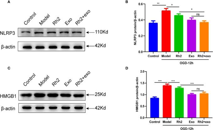 https://cdn.ncbi.nlm.nih.gov/pmc/blobs/6653/9294352/a340e54e6851/fimmu-13-883946-g006.jpg