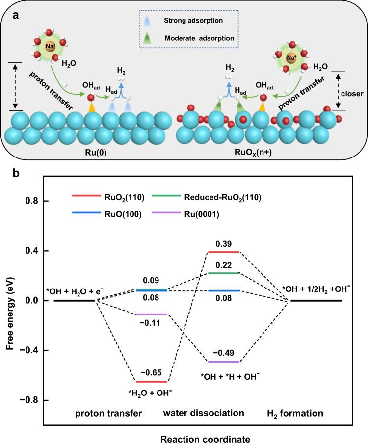 https://cdn.ncbi.nlm.nih.gov/pmc/blobs/6655/10468501/ac4b661370f8/41467_2023_41030_Fig5_HTML.jpg