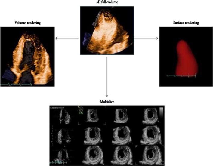 https://cdn.ncbi.nlm.nih.gov/pmc/blobs/6655/6035383/ee60d5b08ee2/gr1.jpg