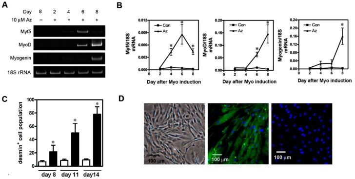 https://cdn.ncbi.nlm.nih.gov/pmc/blobs/6655/6747081/0a4a40458fca/ijms-20-04312-g002.jpg