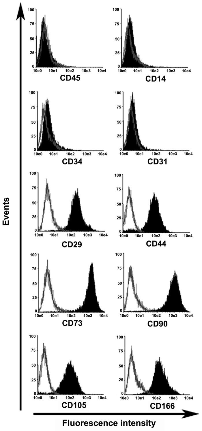 https://cdn.ncbi.nlm.nih.gov/pmc/blobs/6655/6747081/3eb0d0728fd8/ijms-20-04312-g001.jpg