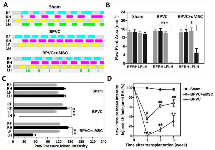 https://cdn.ncbi.nlm.nih.gov/pmc/blobs/6655/6747081/ec8258a9d358/ijms-20-04312-g003.jpg