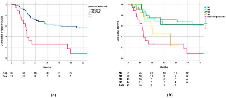 https://cdn.ncbi.nlm.nih.gov/pmc/blobs/6656/11010857/ffce69dc3214/cancers-16-01376-g002.jpg