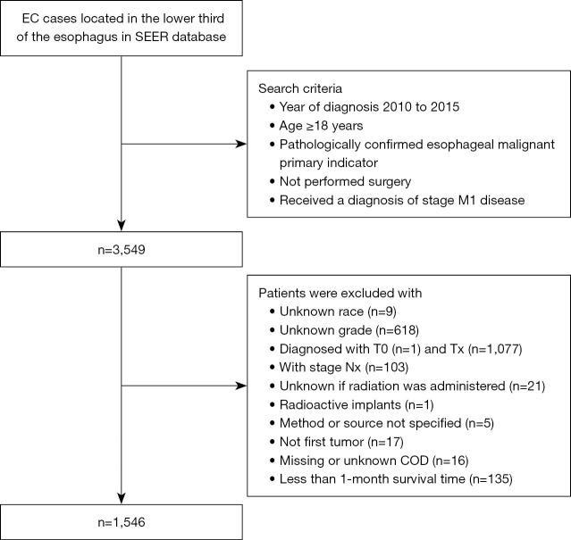 https://cdn.ncbi.nlm.nih.gov/pmc/blobs/6659/11730189/0058dc74c796/tcr-13-12-6661-f1.jpg