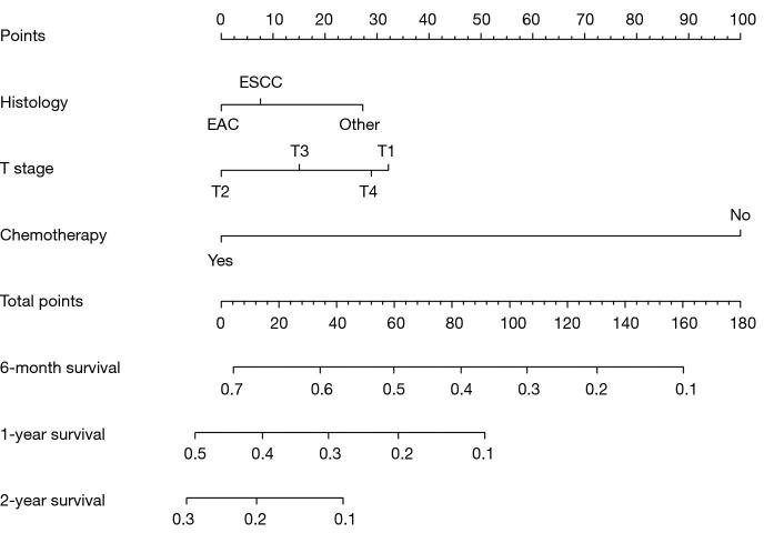 https://cdn.ncbi.nlm.nih.gov/pmc/blobs/6659/11730189/3f39a96e02df/tcr-13-12-6661-f3.jpg