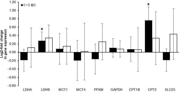 https://cdn.ncbi.nlm.nih.gov/pmc/blobs/6659/5350167/5bd2f4cb516b/PHY2-5-e13149-g002.jpg
