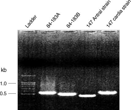 https://cdn.ncbi.nlm.nih.gov/pmc/blobs/665c/2800007/cd9187722901/jkms-25-61-g002.jpg