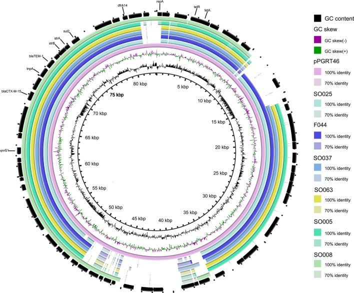 https://cdn.ncbi.nlm.nih.gov/pmc/blobs/665d/5130978/ce8b9de9147c/fmicb-07-01862-g0004.jpg